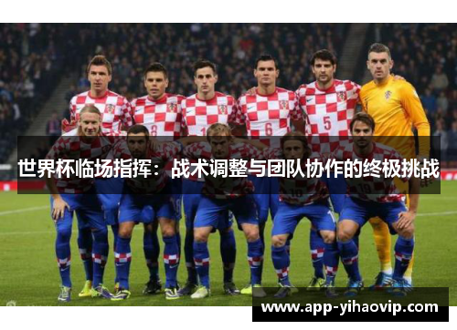 世界杯临场指挥：战术调整与团队协作的终极挑战
