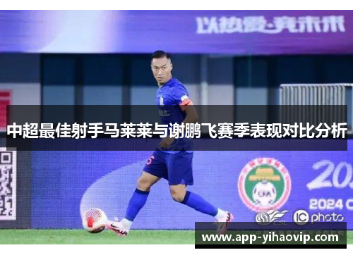 中超最佳射手马莱莱与谢鹏飞赛季表现对比分析