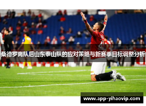 桑德罗离队后山东泰山队的应对策略与新赛季目标调整分析