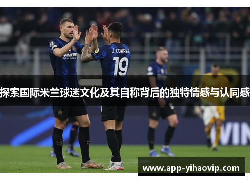 探索国际米兰球迷文化及其自称背后的独特情感与认同感