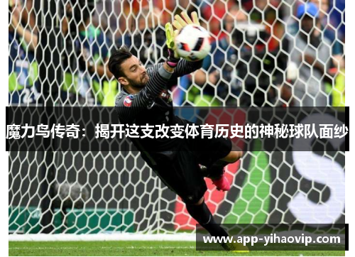魔力鸟传奇：揭开这支改变体育历史的神秘球队面纱
