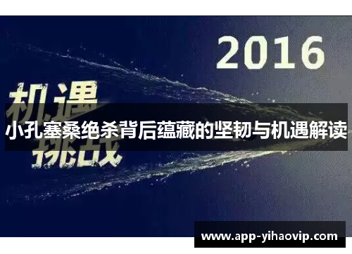 小孔塞桑绝杀背后蕴藏的坚韧与机遇解读 小孔塞桑绝杀背后蕴藏的坚韧与机遇解读