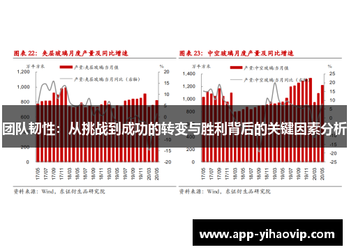 团队韧性：从挑战到成功的转变与胜利背后的关键因素分析