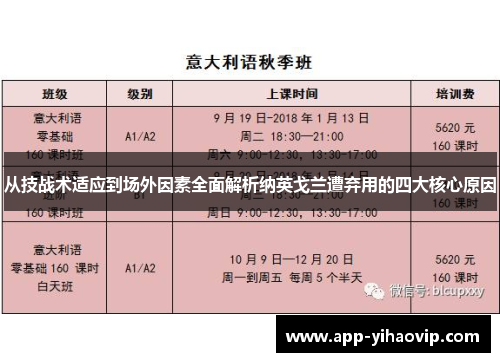 从技战术适应到场外因素全面解析纳英戈兰遭弃用的四大核心原因