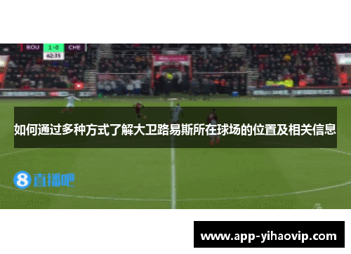 如何通过多种方式了解大卫路易斯所在球场的位置及相关信息